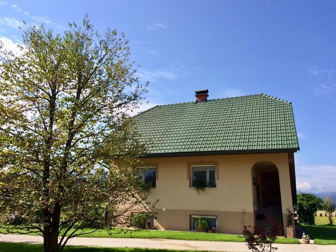 Entire Loft Close To Beautiful Logar Valley Recica ob Savinji Exterior foto